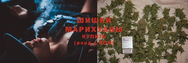 PSILOCYBIN Балахна