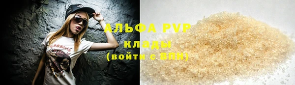 PSILOCYBIN Балахна